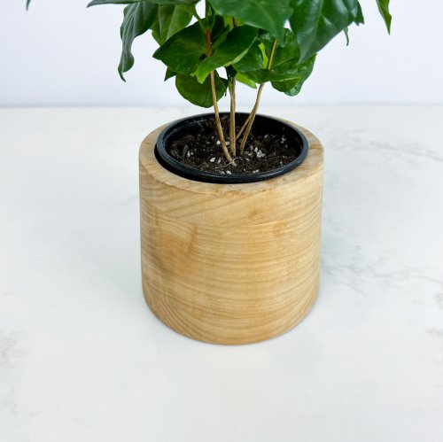 Cache-pot - Le Cylindrique