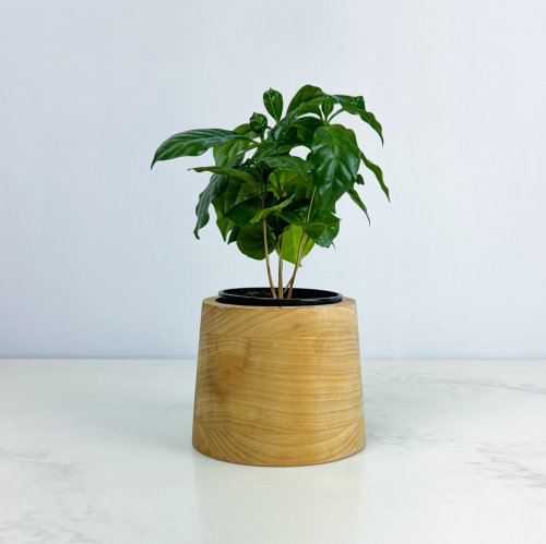Cache-pot - Le Conique