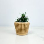 Cache-pot - Le Zen