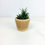 Cache-pot - Le Zen