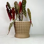 Cache-pot - Le Zen